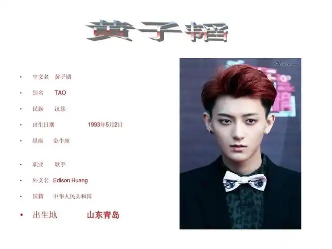 黄子韬ppt