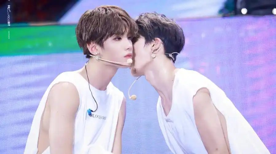 磕cp轮博专用号谢谢大家