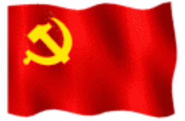 366_240gif 动态图 动图