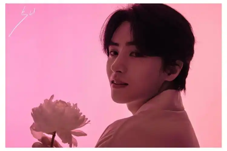 邓孝慈你与白芍药