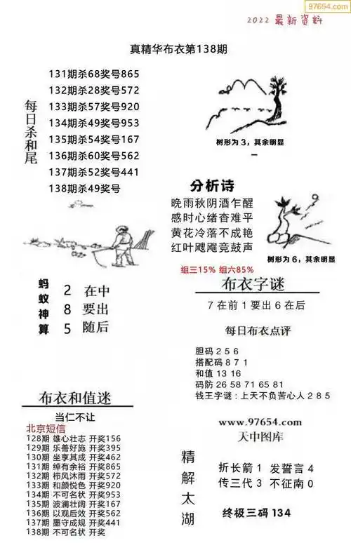22年138期3d布衣图库图谜版总汇
