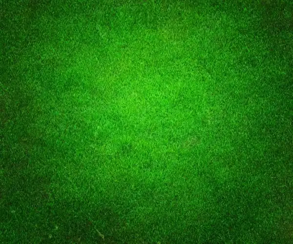 高尔夫绿色背景