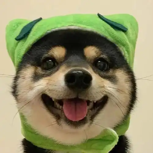 超级可爱且萌宠的小狗头像 精选可爱的狗狗萌