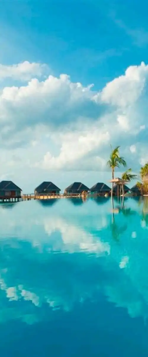 无边海景游泳池—马尔代夫