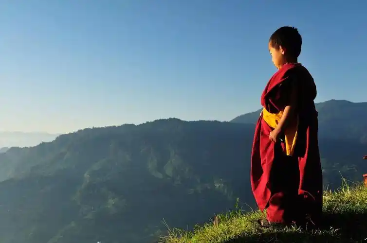 天寒如何养生小和尚教你花样来煮小米粥