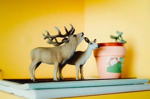 随手拍的小物件