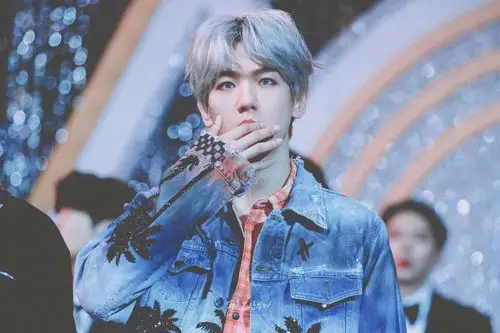 边伯贤/蓝春 - 堆糖,美图壁纸兴趣社区