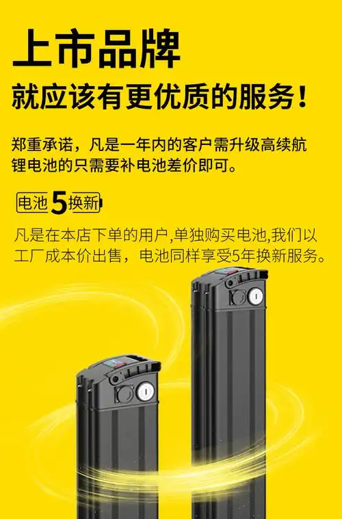 新日折叠电动自行车锂电池电瓶车助力代步迷你电动车小型车代驾车