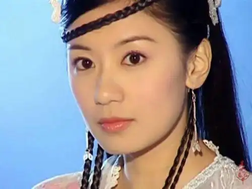 贾静雯你们都懂的,在苏有朋版《倚天屠龙记》里饰演赵敏.