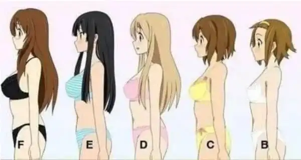 36d的胸围是多少36d的胸围是多少36d胸围是多少