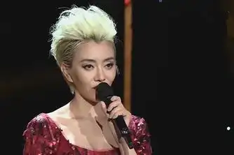 梅艳芳模仿秀张丽_百度视频搜索