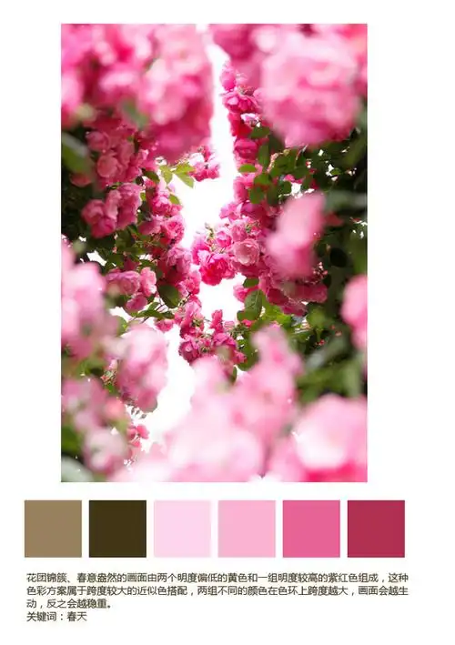 10个从图片中提取的色彩方案