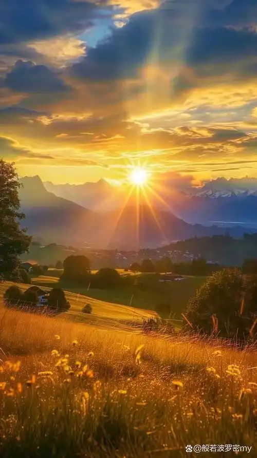 唯美治愈系2024手机壁纸|不问花开几许,只愿浅笑安然.