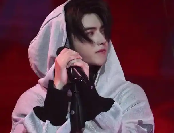 蔡徐坤,因桃色风波备受争议,但他在新加坡的演唱会依旧按照原计划进行