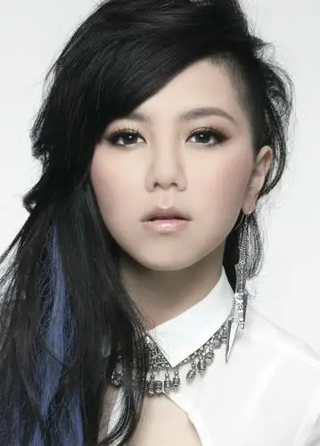 邓紫棋词条图册_百度百科