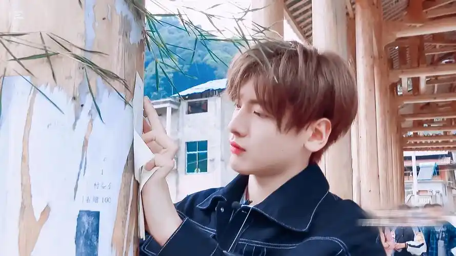 翟潇闻 - 堆糖,美图壁纸兴趣社区