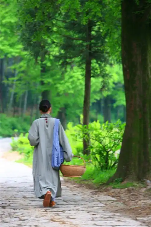 禅意境图片唯美大图(5)