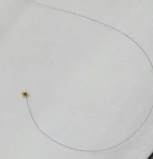 我的头发一掉就是这样,感觉连着发根一起掉了,而且头上总是有皮屑和发