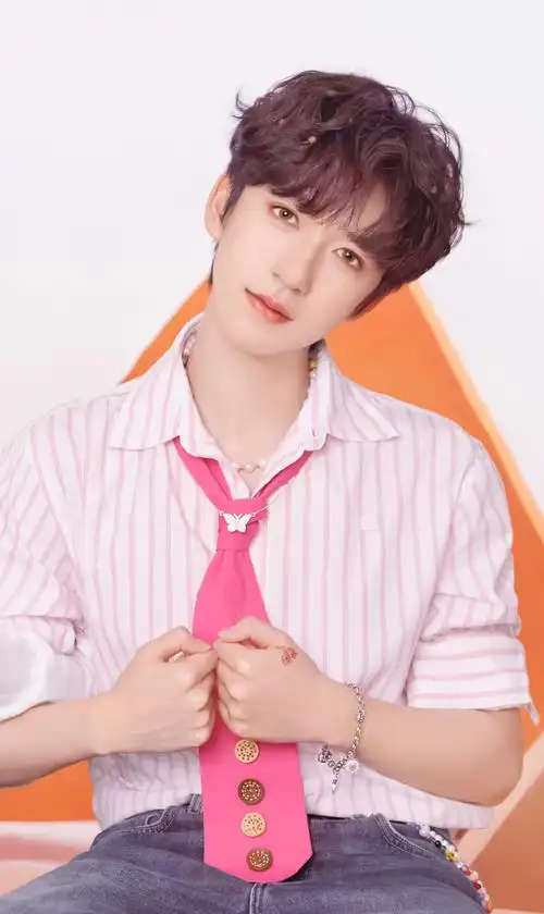 贺峻霖 十九摘星诵捷音