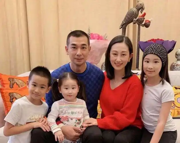 赵文卓和梅艳芳梅艳芳是他爱情的毒药