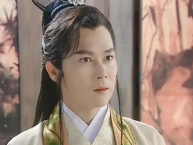 任泉 苏有朋 王灿 【虽然这位,评论区姐妹没提到,但我突然想起来他了!