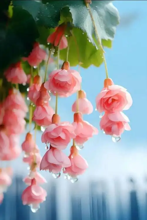 今日推荐,让人一眼就心动的唯美图片,喜欢的话可以点赞收藏起来哦!