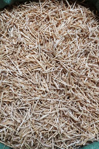 草根新鲜白茅根白茅干货竹蔗芦根凉茶茶食500克其他药食同源食品