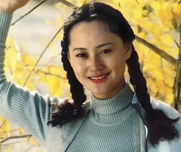 狠人大宋佳抛病夫戏导演攀富豪她的上位史太精彩