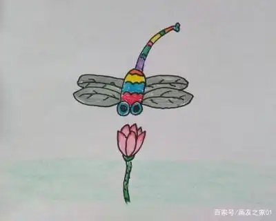 简笔画:教你如何画蜻蜓