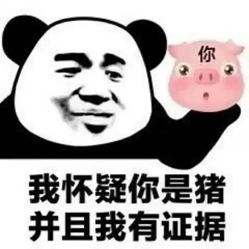 沙雕熊猫头我怀疑你是猪并且我有证据表情