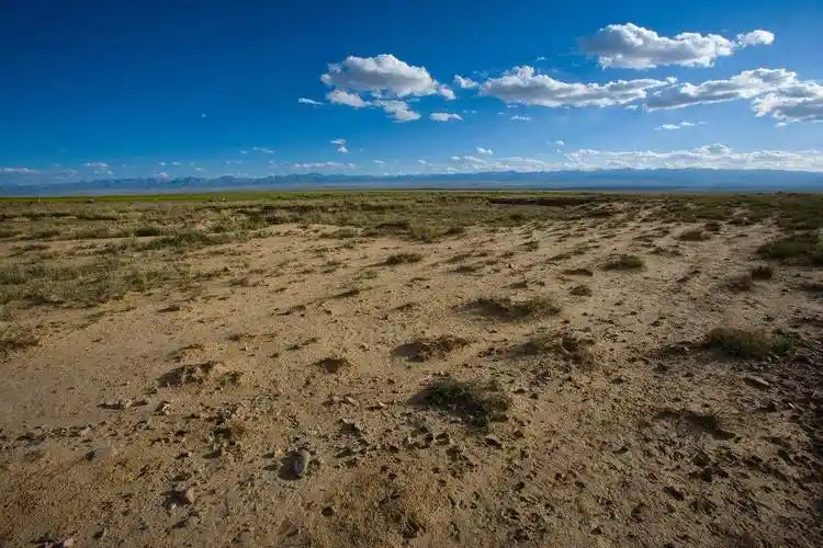 p>草原土壤指半干旱地区草甸草原及 a target="_blank" href="/item