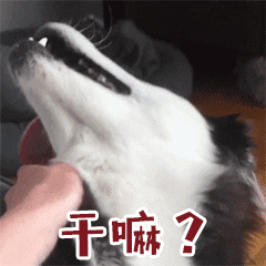 狗狗搞笑gif表情包9张_微信