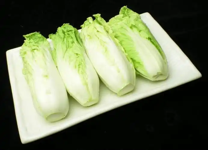 娃娃菜高清图片大图!