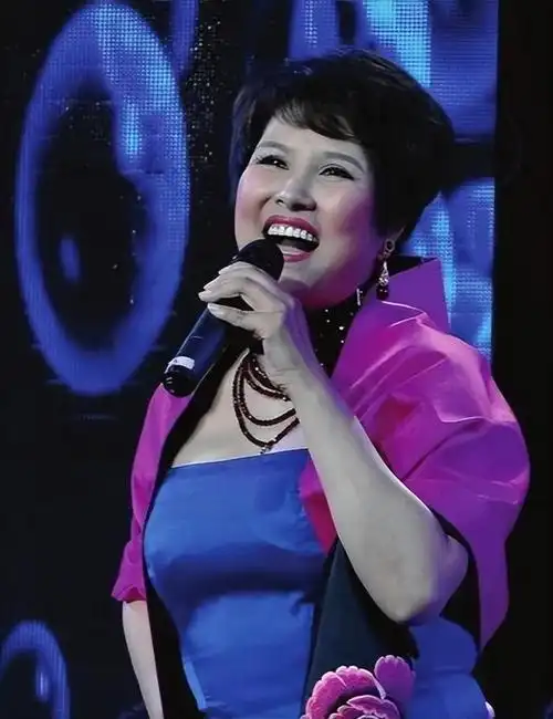 再也见不到的5位传奇歌星以为他们退出歌坛其实已悄然逝世