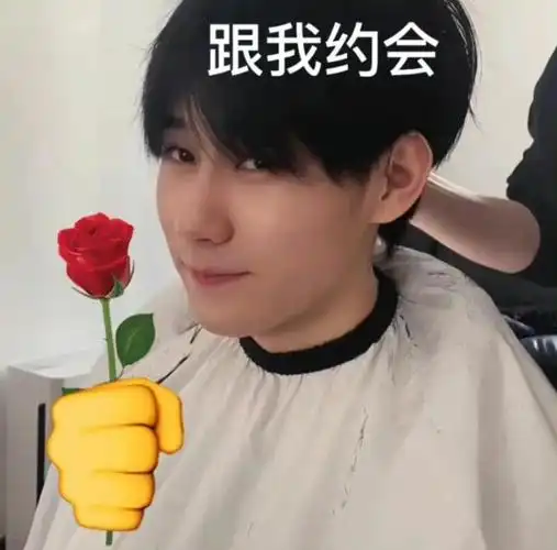 小93小98等【呼安表情包也是一种破圈方法】张真源搞笑且好看的