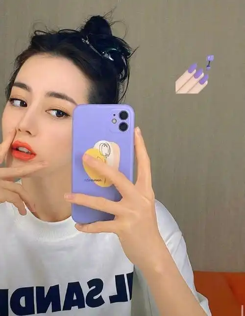 迪丽热巴有多少手机壳