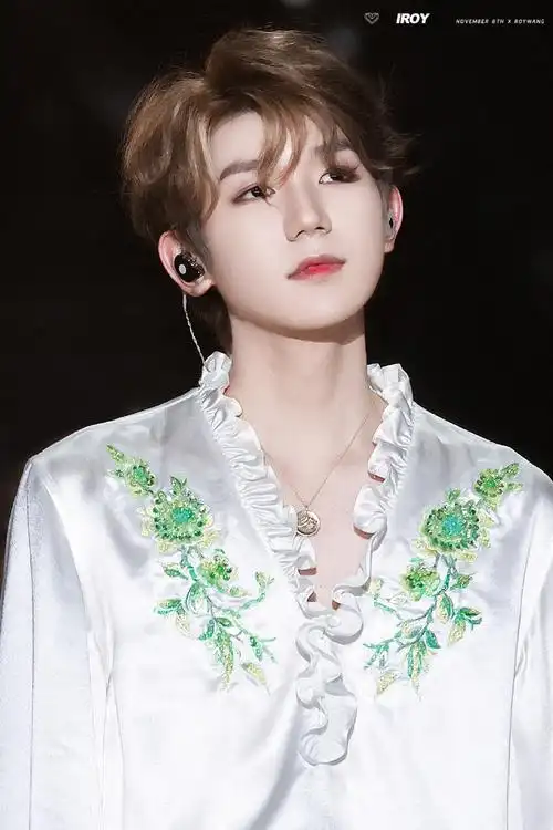 十周年演唱会大出圈的王源神图96@tfboys-王源#王源23岁且放青山远