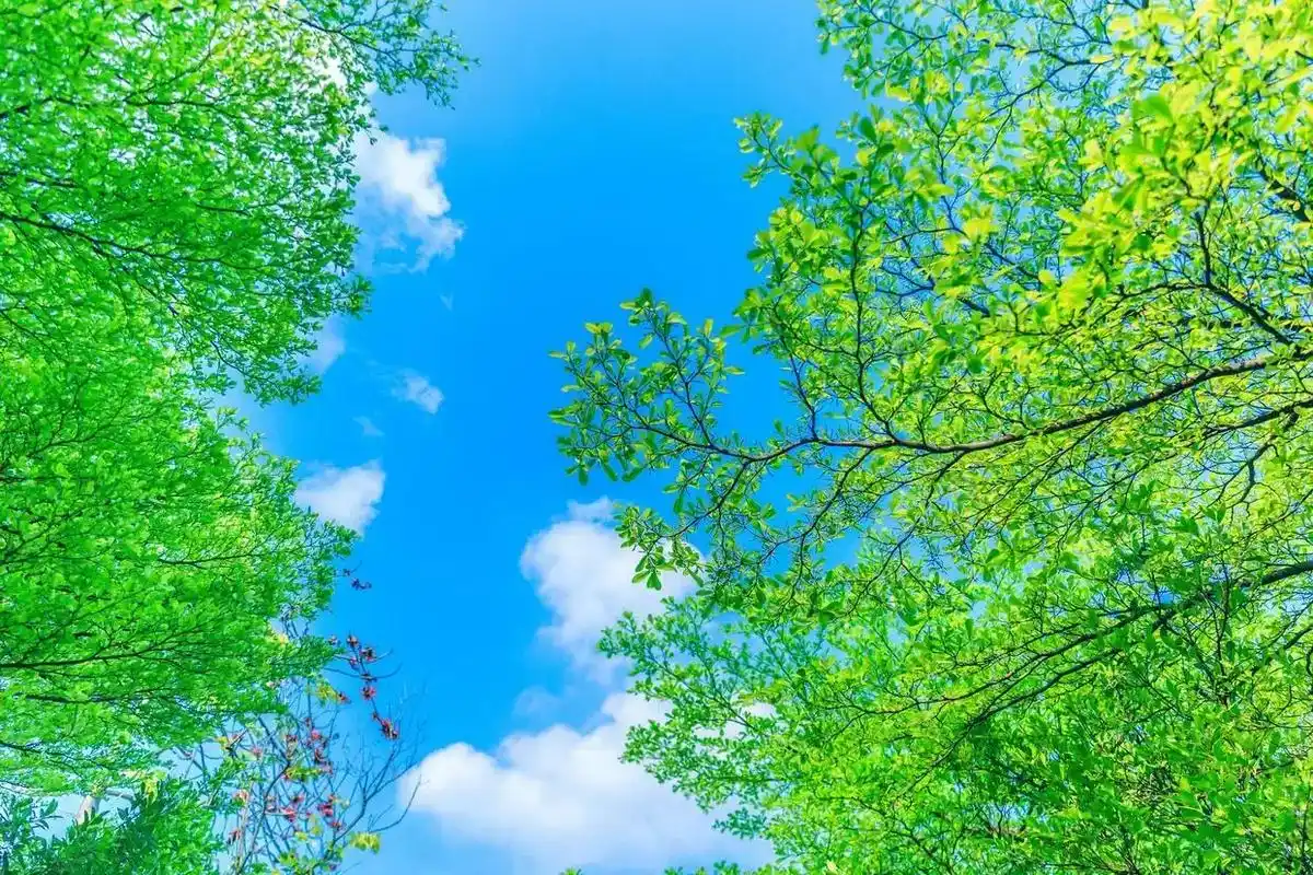 走入四月的风景,带着恬淡清宁的心情,在时光深处,找寻一处心灵 - 抖音