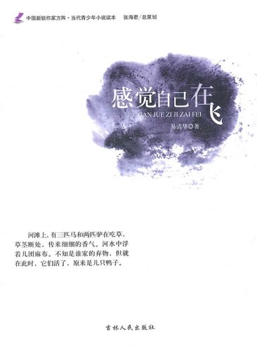 中国新锐作家方阵 当代青少年小说读本--感觉自己在飞【放心选购】