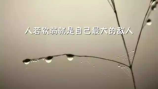 最新早安励志图片带字朋友圈激励人心的正能量精辟句子