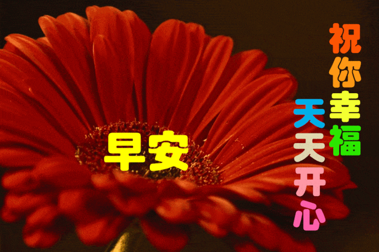 2020早上好问候祝福语句子,朋友圈早上好祝福语动态图片带字