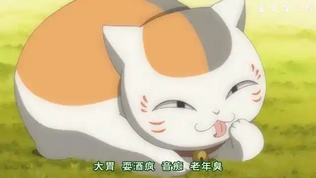 夏目友人帐:那只白色的肥猫真让人头疼,喝酒还发酒疯