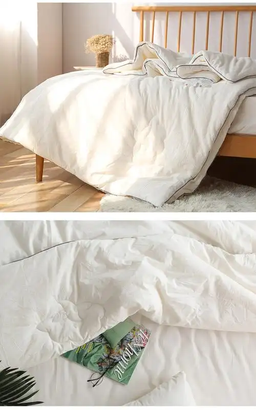 婴幼儿级水洗棉20大豆纤维冬被冬季加厚保暖被子棉被芯单人学生宿舍四