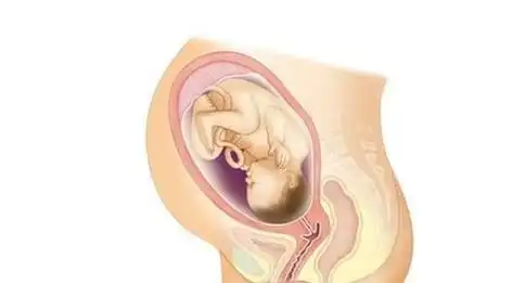 胎儿入盆是多少周二胎胎儿入盆是多少周应该注意什么