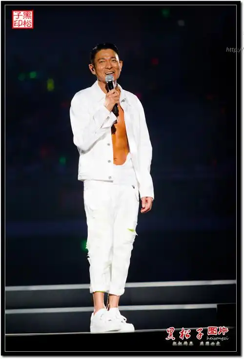 刘德华南京演唱会