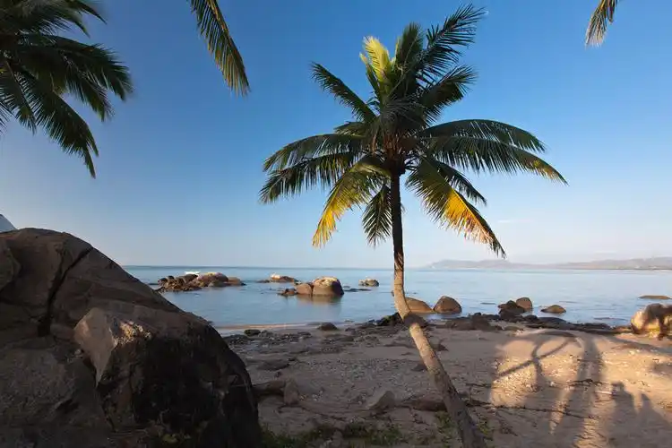 三亚天涯海角的椰树风光