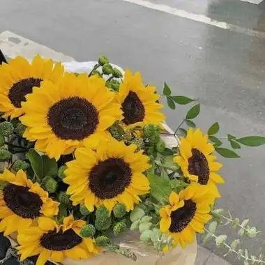 高清清新唯美很有意境的微信头像图片