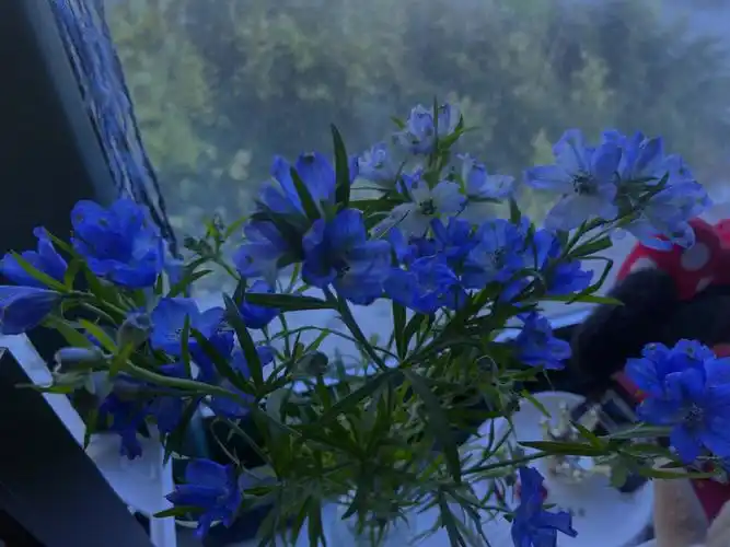 蓝色是最温暖的颜色