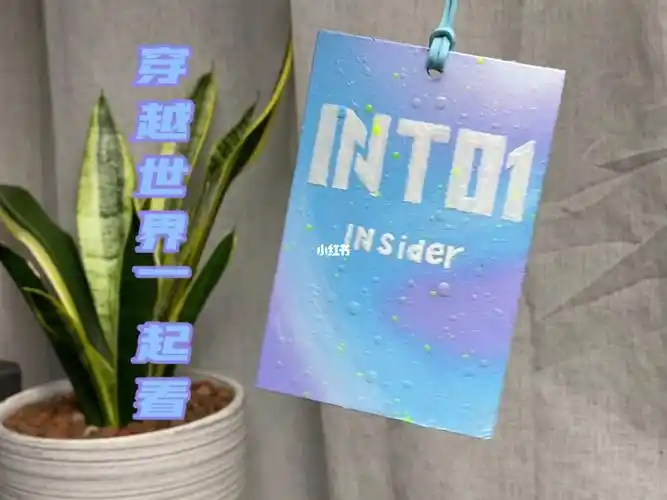 这无限闪耀的烟火,我们穿越世界一起看#into1  #insider  #应援色冰