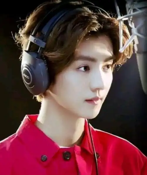 鹿晗当初在韩以exo的成员出道,在出道之前公司就为他做足了宣传,更是